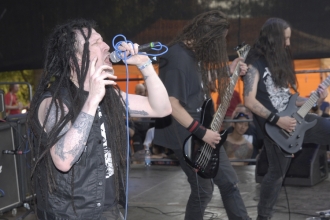VALLENFYRE