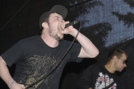 Evisorax