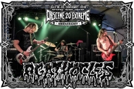 KRÁTKÉ, HLUČNÉ, ZBĚSILÉ A NASRANÉ!!! AGATHOCLES!!!
