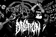 Power violence stále žije!!! DILUTION!  !!