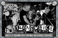 GLOBÁLNÍ PUNKOVÝ ARMAGEDDON ZE ZEMĚ TULIPÁNŮ!!! FLEAS AND LICE!!!