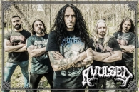 SPANISH GENERATION OF DEATH AND HORROR!!! AVULSED!!!