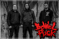 CRUSHING DECADE OF GRINDCORE!!!