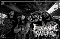CROSSOVER THRASH PALBA OSTRÝMI!!!