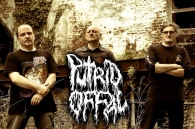 Veteránská goregrind kapela PUTRID OFFAL opět na scéně!!!