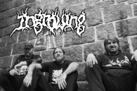 GRINDCOROVÝ REUNION ROKU!!!