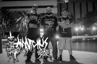 GRINDEROS ANARCHOS MEXICOS!!! 