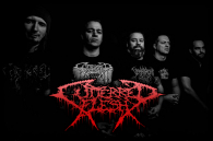 CUTTERRED FLESH - POŘÁDNÉ FLÁKY MASÍČKA NA VEGANSKÉM FESTIVALU!!!