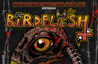 BIRDFLESH - Brazil Tour - November 2023!!! 