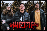 NOTHING BUT A SEA OF GRINDCORE!!!