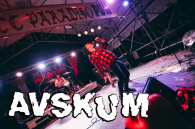 SKANDINÁVSKÁ D-BEATOVÁ ZUŘIVOST!!!