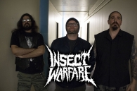Naše nejdivočejší sny byly vyslyšeny a texaská grindcore bruska je zpět!!! INSECT WARFARE!!!