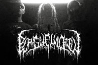 Grind core s black metalem v podání PLAGUE WIDOW!!!