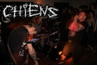 Chiens Interview