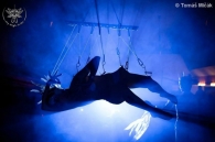 Fly High Tribe show!!!